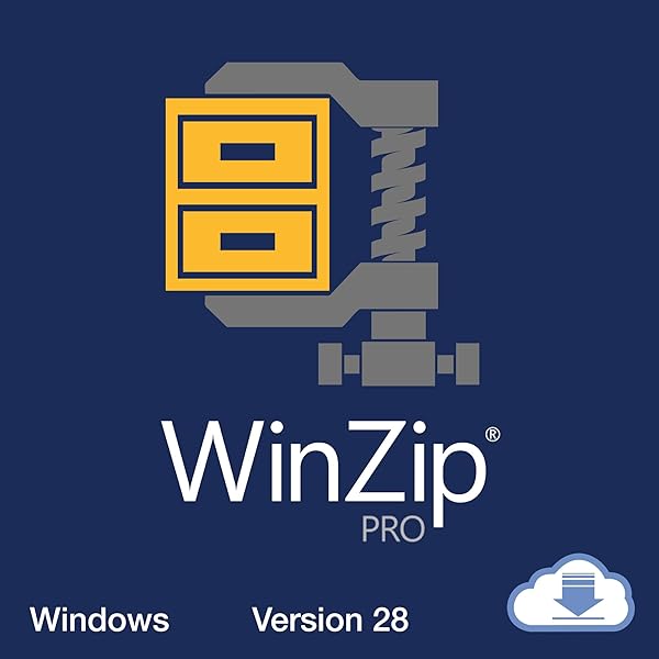 WinZip Pro Crack 